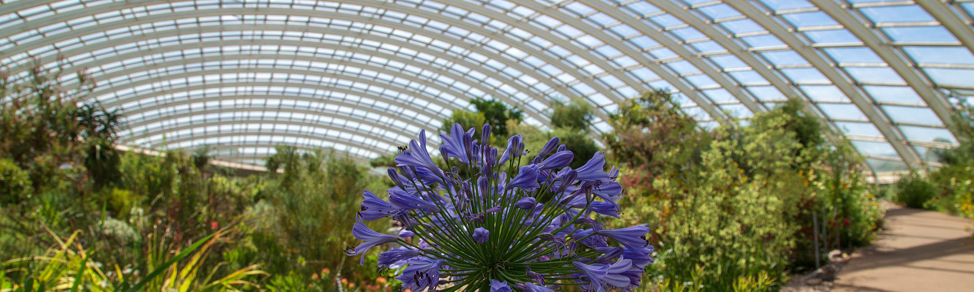 The Rich Heritage & Beautiful Gardens of the Brecon Beacons