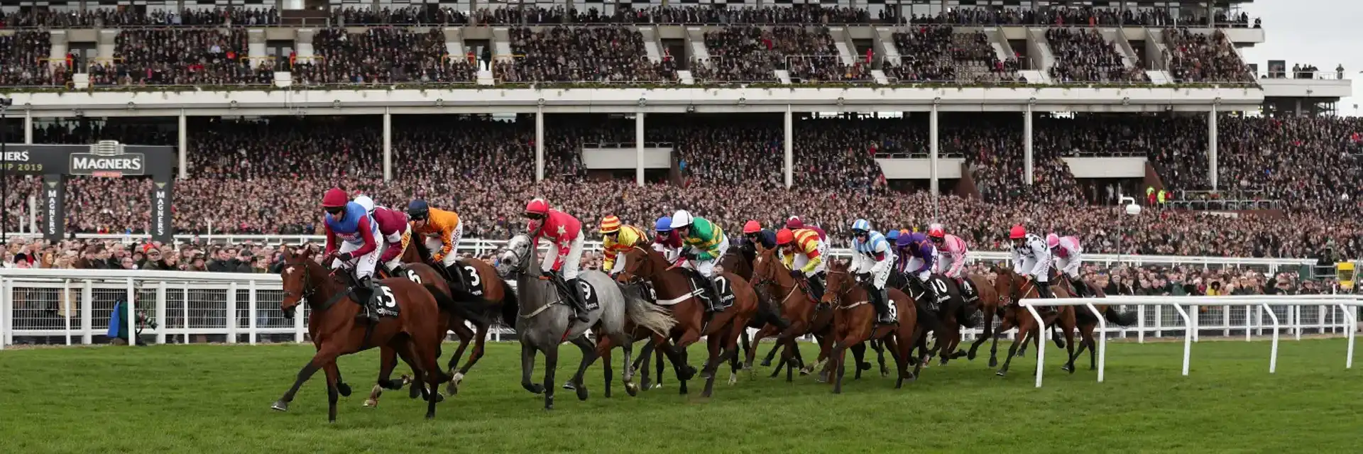 Cheltenham Gold Cup