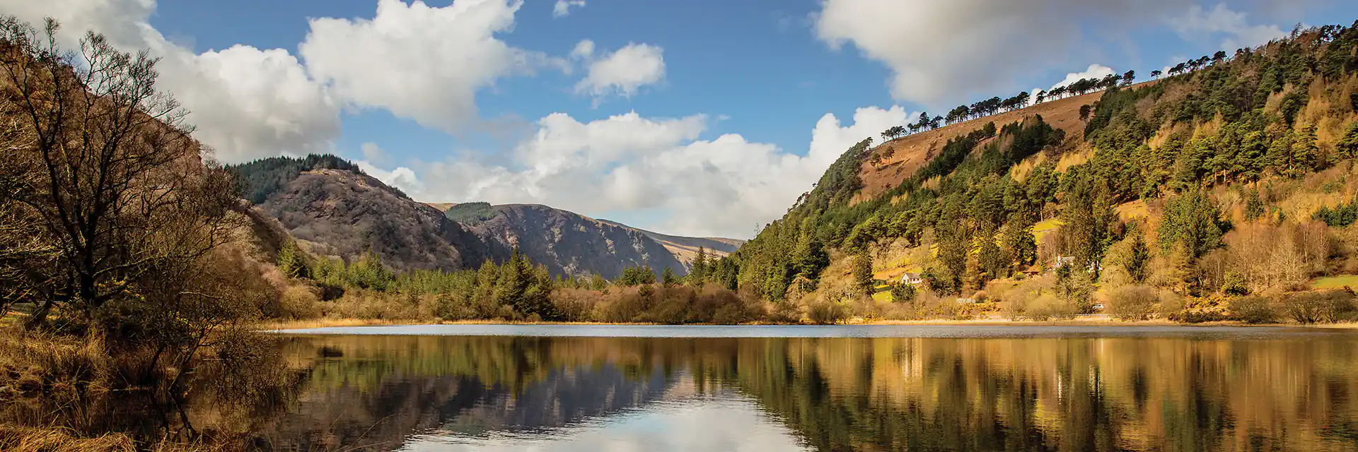 Wicklow Mountains